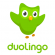 تحميل برنامج تعلم اللغات تطبيق Duolingo